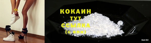 прущие грибы Магадан