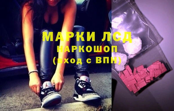 гашик Магас