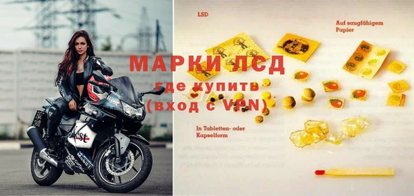 прущие грибы Магадан