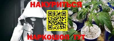 jwh Нальчик