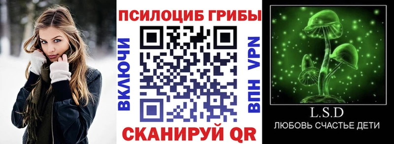 Псилоцибиновые грибы Cubensis  Новоуральск 